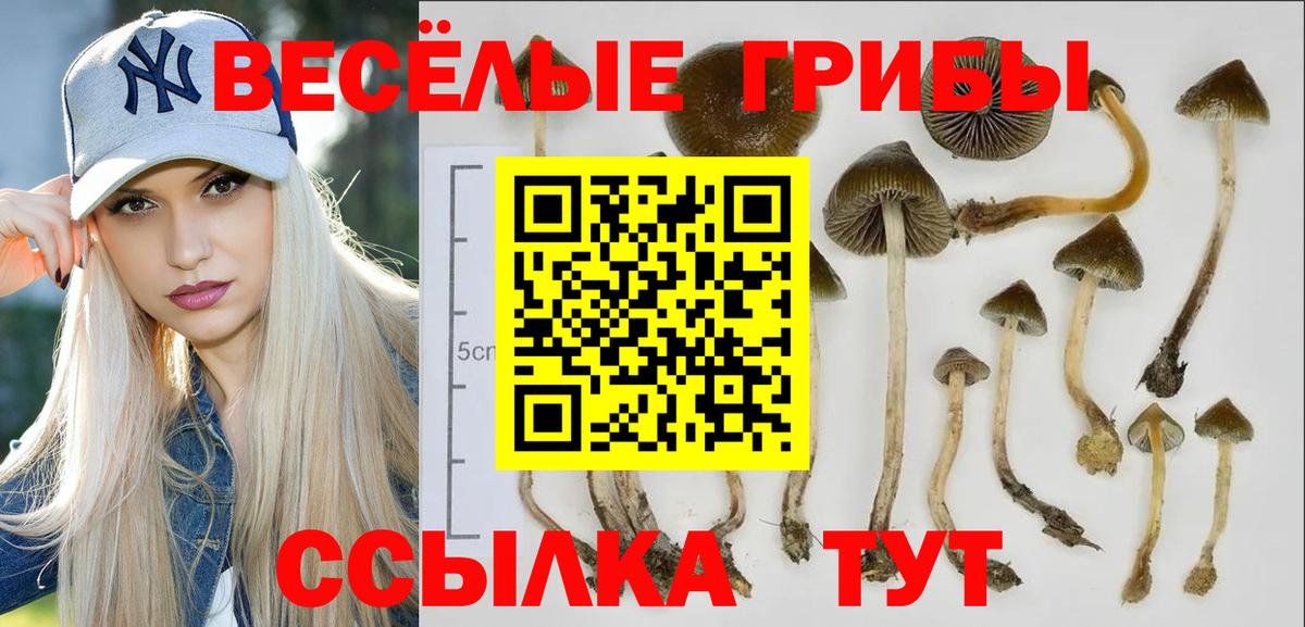 Галлюциногенные грибы Psilocybine cubensis  Псилоцибиновые грибы Psilocybe  Вход с VPN  Соликамск 