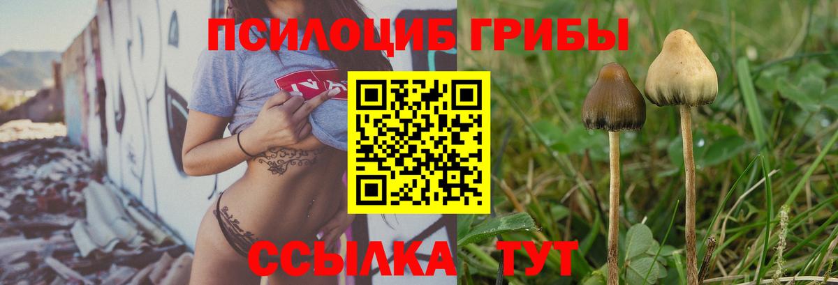 Галлюциногенные грибы мухоморы Соликамск